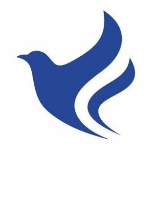 Sudish Foundation Logo icon only (JPG) 1