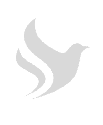 sudish grey logo